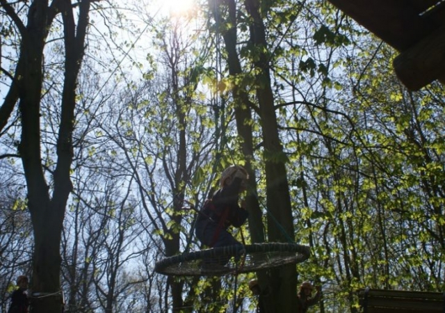 ateliers originaux dans les arbres
